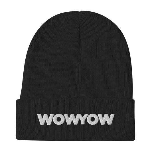 Embroidered Beanie (classic white logo)