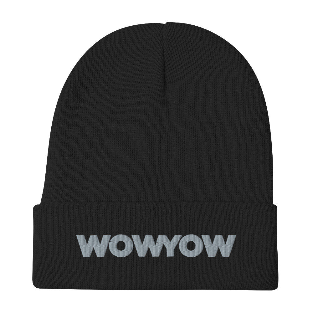 Embroidered Beanie (classic gray logo)