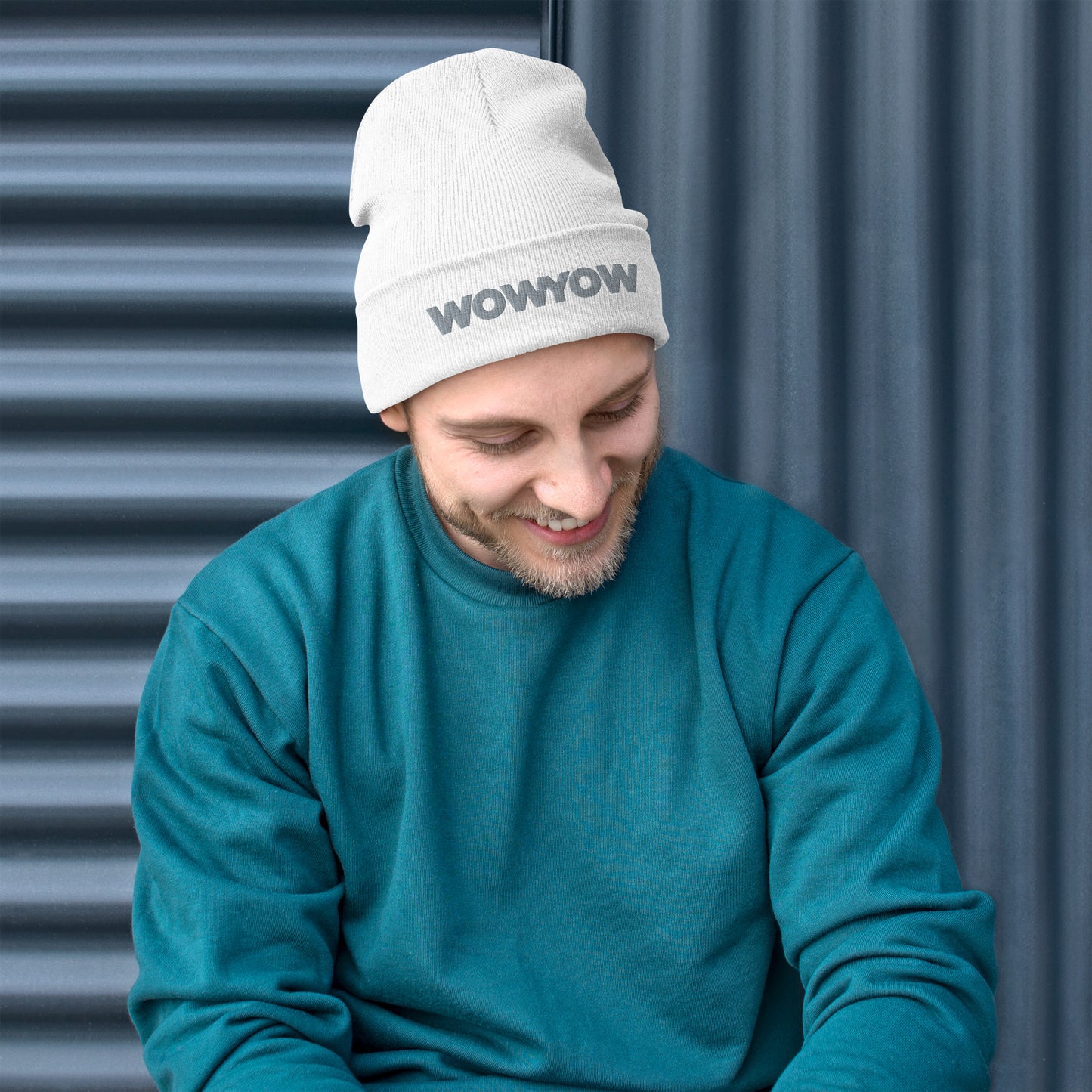 Embroidered Beanie (classic gray logo)