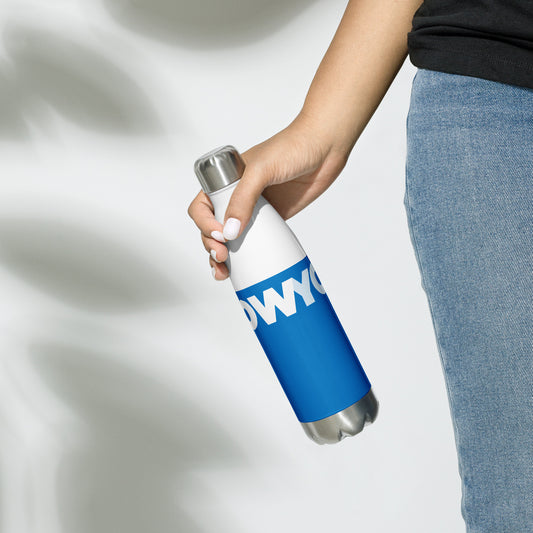 Stainless Steel Water Bottle (blue and white classic)