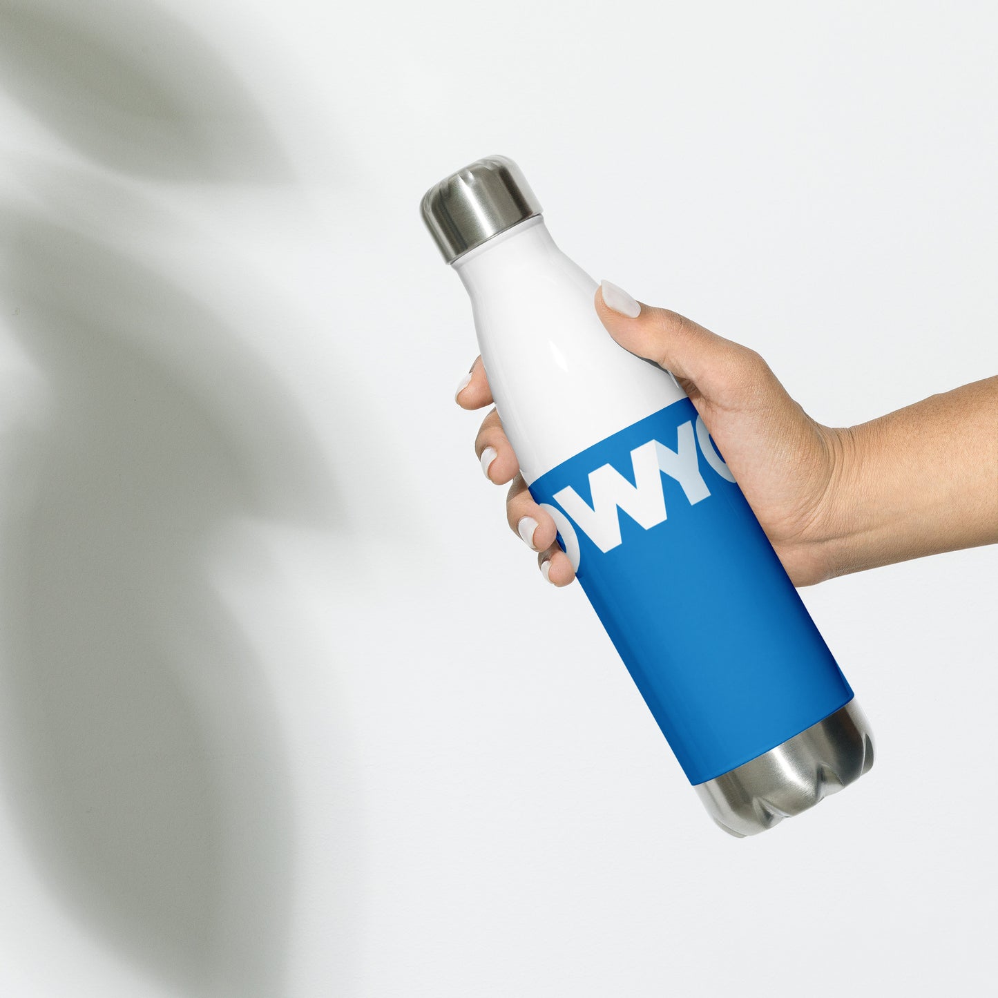 Stainless Steel Water Bottle (blue and white classic)