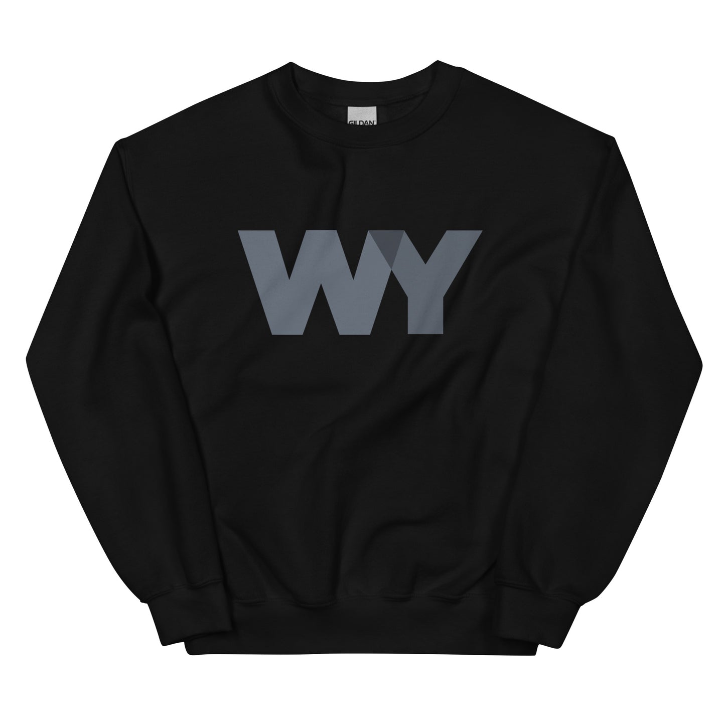 Unisex Sweatshirt (Classic gray abv. logo)