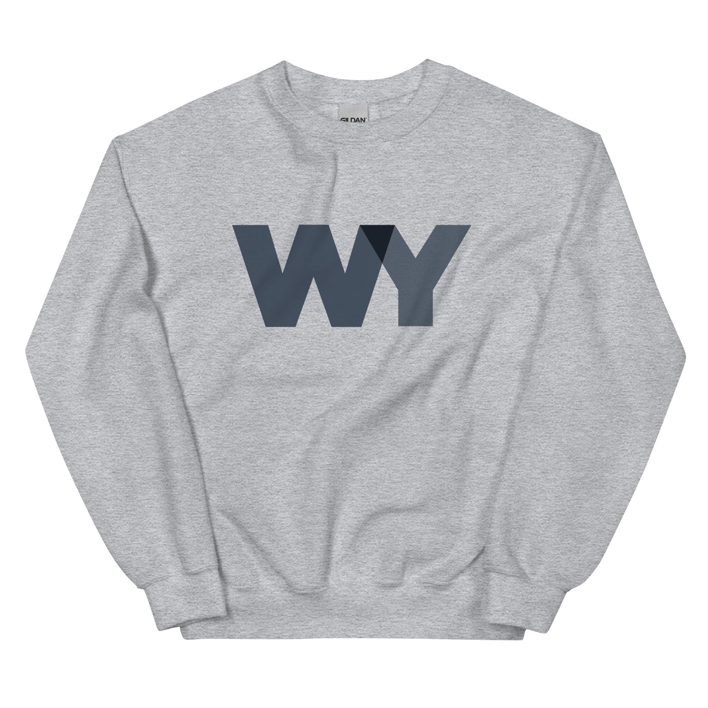 Unisex Sweatshirt (Classic gray abv. logo)