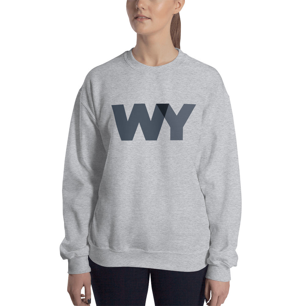 Unisex Sweatshirt (Classic gray abv. logo)