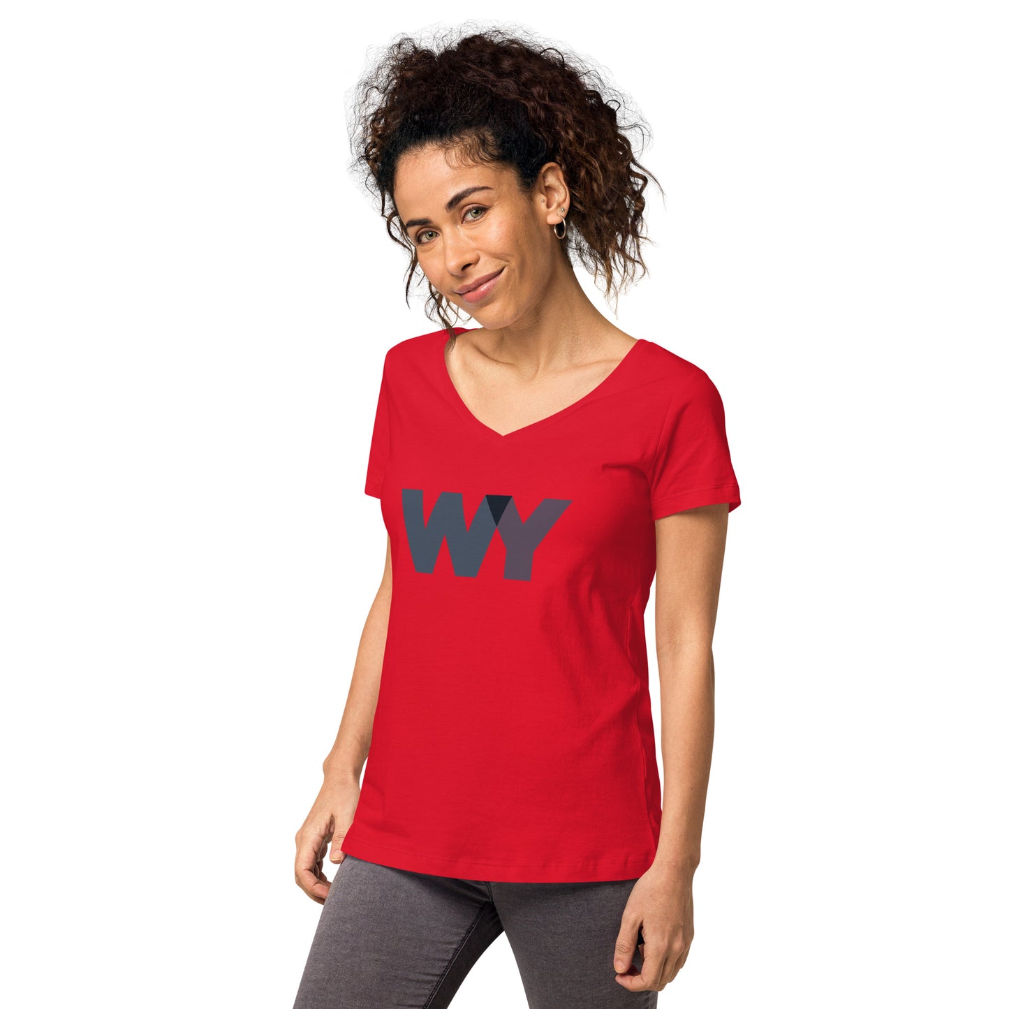 Women’s fitted v-neck t-shirt (Classic gray abv. logo)